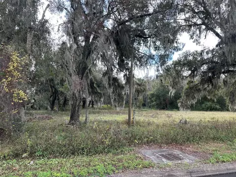 Doyle Road, Osteen, FL 32764