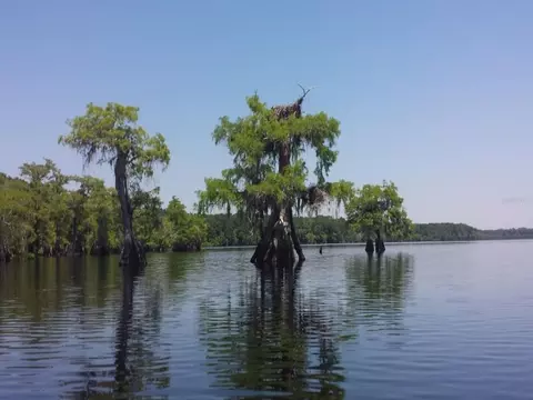 Royal Trails Road, Eustis, FL 32736 photo 3