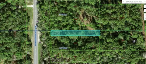 Commonwealth Avenue N, Polk City, FL 33868
