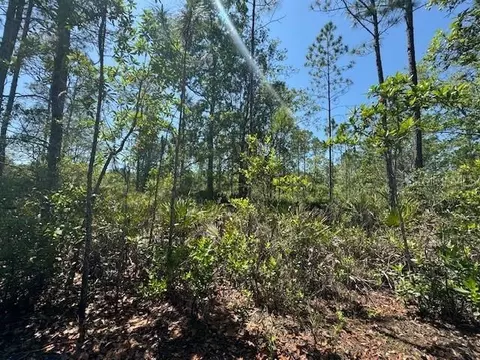 Ninemile Point Road, Pierson, FL 32180