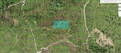 Tiger Lake Rd, Lake Wales, FL 33898