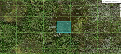 Old Grade Road, Polk City, FL 33868