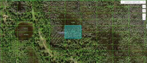 Old Grade Rd, Polk City, FL 33868