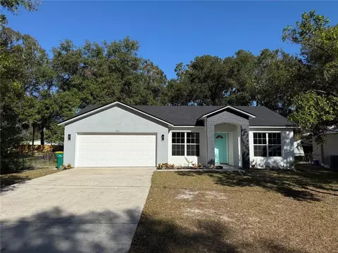 911 Pine Ave, Mount Dora, FL 32757