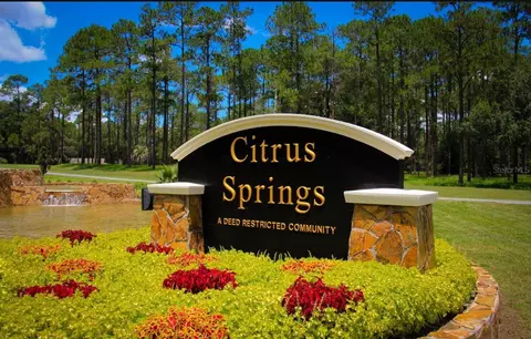 8140 N Janeaux Dr, Citrus Springs, FL 34434