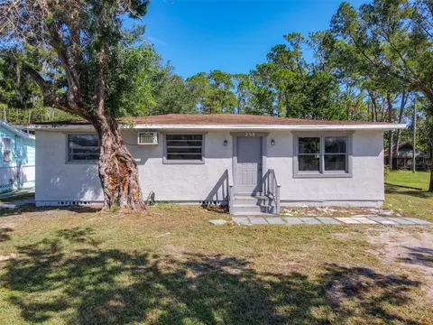 258 Poinciana Ave, Port Orange, FL 32127