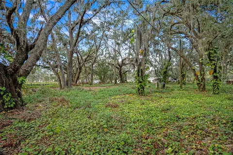 6615 Thonotosassa Rd, Plant City, FL 33565