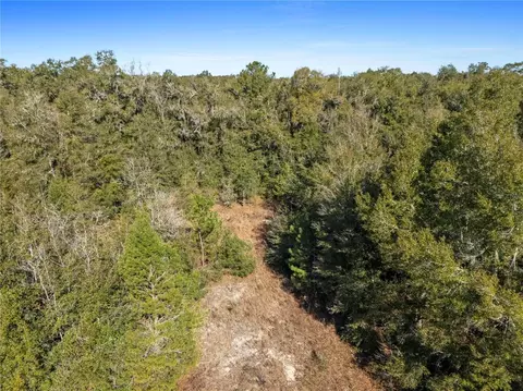 0 NW 29th Ter, Reddick, FL 32686