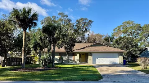 1924 Travelers Palm Dr, Edgewater, FL 32141