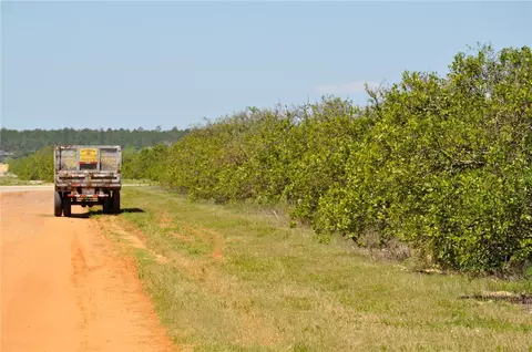 Grove Rd 2, Lake Wales, FL 33898