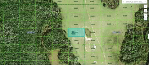 Deen Still Road, Polk City, FL 33868