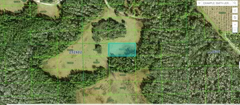 Deen Still Road, Polk City, FL 33868