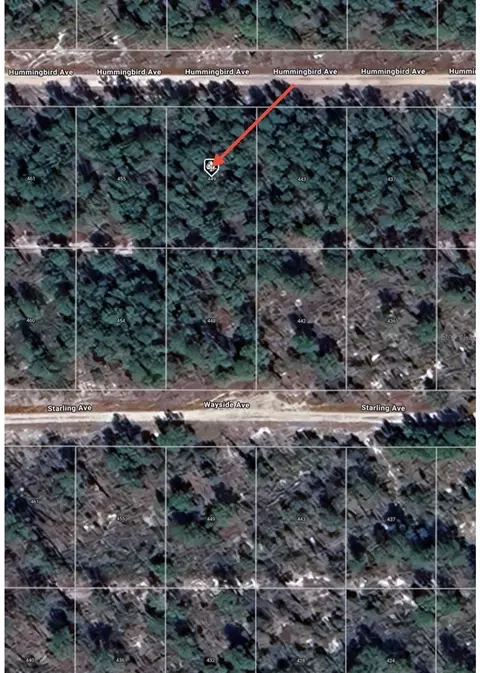 449 Hummingbird Ave, Sebring, FL 33872