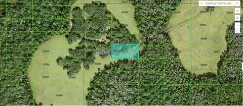 Tall Pine Road, Polk City, FL 33868