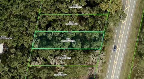 6391 Treiman Blvd, Webster, FL 33597