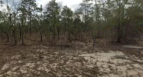 128 15th St, Interlachen, FL 32148 photo 8