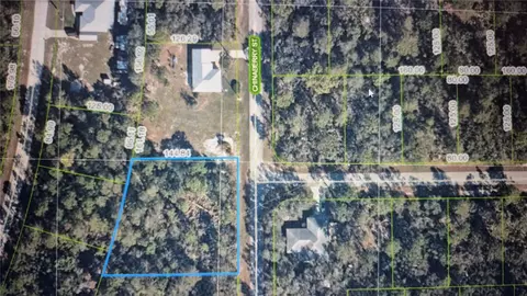 948 Chinaberry St, Lake Placid, FL 33852