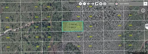 Dill Road, Orlando, FL 32820