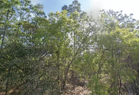 7343 S Ridge Pt, Homosassa, FL 34446