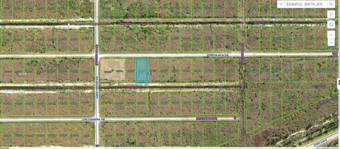 Portulaca Drive, Indian Lake Estates, FL 33855