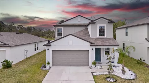 13327 Willow Bluestar Loop, Riverview, FL 33579 photo 1