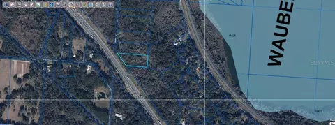 Se Wacahoota Rd, Micanopy, FL 32667