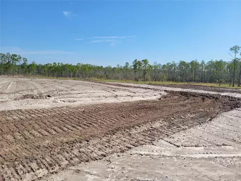 1001 Omega Ranch Rd, New Smyrna Beach, FL 32168
