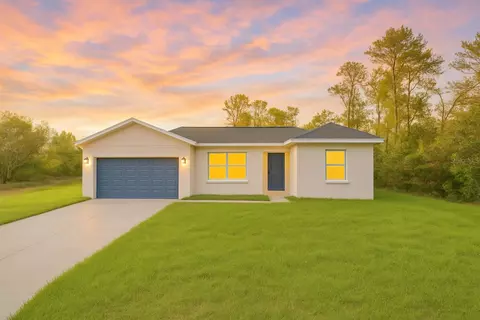 18 Malauka Pass Ter, Ocklawaha, FL 32179