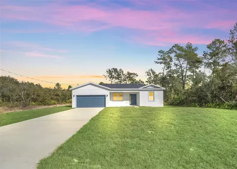 14 Fisher Loop Pass, Ocklawaha, FL 32179