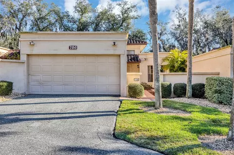 706 Santa Cruz Ln #706, Howey In The Hills, FL 34737