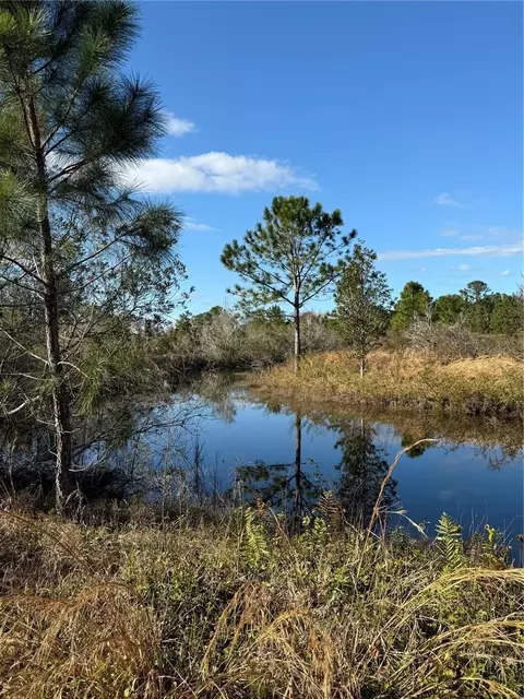 1686 Oak View Farms Rd, Osteen, FL 32764