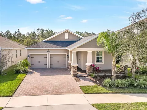 10198 Lovegrass Ln, Orlando, FL 32832