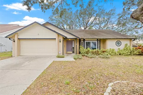 1909 River Crossing Dr, Valrico, FL 33596