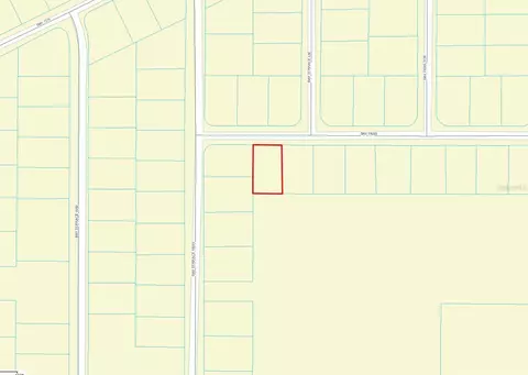 4 Bay Pass, Ocklawaha, FL 32179