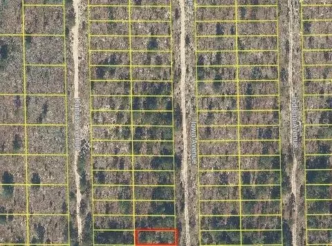 Iowa Avenue, Hawthorne, FL 32640