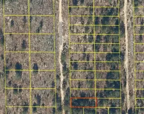 102 Kansas Ave, Hawthorne, FL 32640