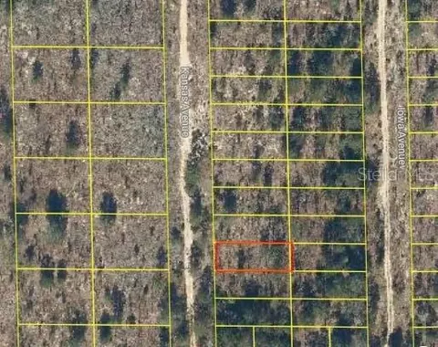 106 Kansas Ave, Hawthorne, FL 32640