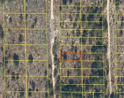110 Kansas Ave, Hawthorne, FL 32640