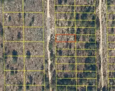 114 Kansas Ave, Hawthorne, FL 32640