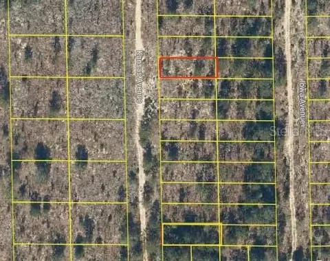 118 Kansas Ave, Hawthorne, FL 32640