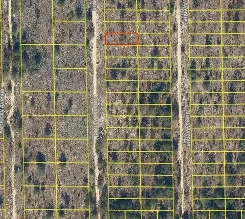 130 Kansas Ave, Hawthorne, FL 32640