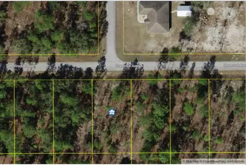 lot9 NW Shamrock Ave, Dunnellon, FL 34431