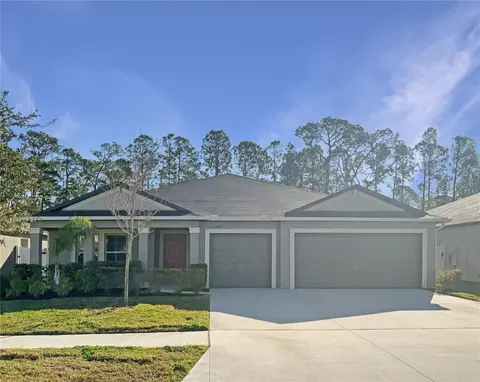 13507 Willow Bluestar Loop, Riverview, FL 33579