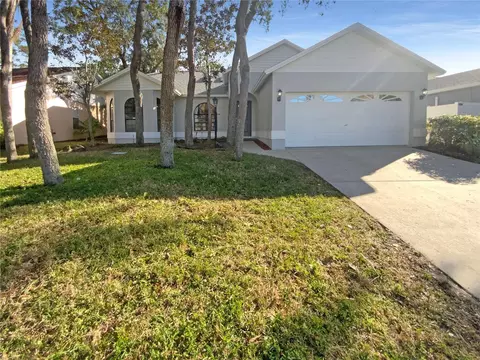 1038 Rolling Oaks Ave, Tarpon Springs, FL 34689