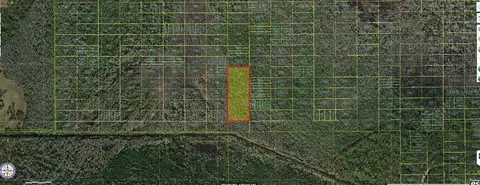Holopaw Groves Road, Saint Cloud, FL 34772