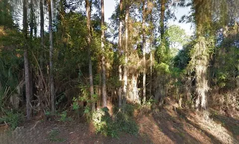 Lutz Road, North Port, FL 34286