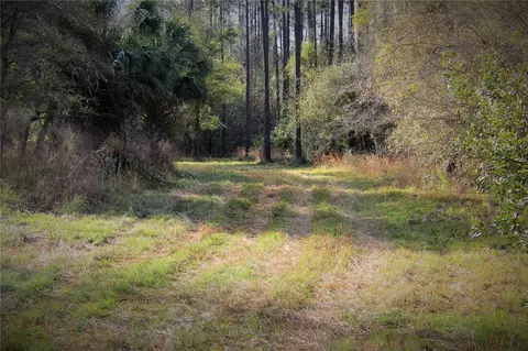 Cr 772b, Webster, FL 33597 photo 6