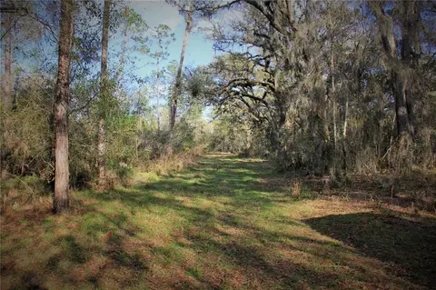 Cr 772b, Webster, FL 33597 photo 23