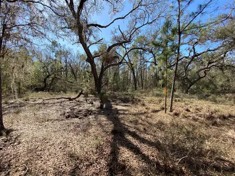 Cr 772b, Webster, FL 33597 photo 14