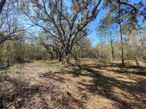 Cr 772b, Webster, FL 33597 photo 2